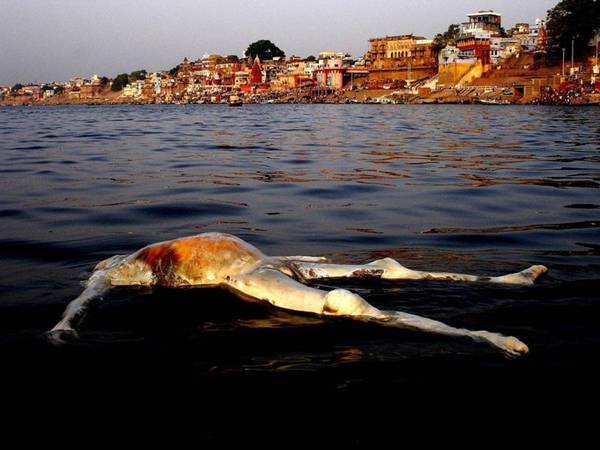Los Dos Grandes Rios De La India