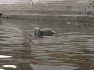 image035